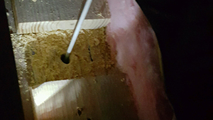 home security systems corpus christi