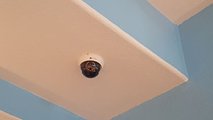 home security systems corpus christi